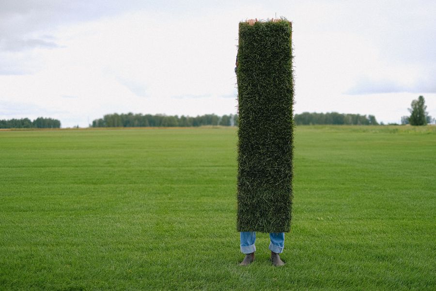 Gardener holding a roll of fresh green sod before installation