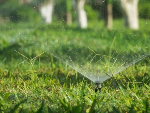 Sprinkler watering newly laid sod on a New Orleans lawn